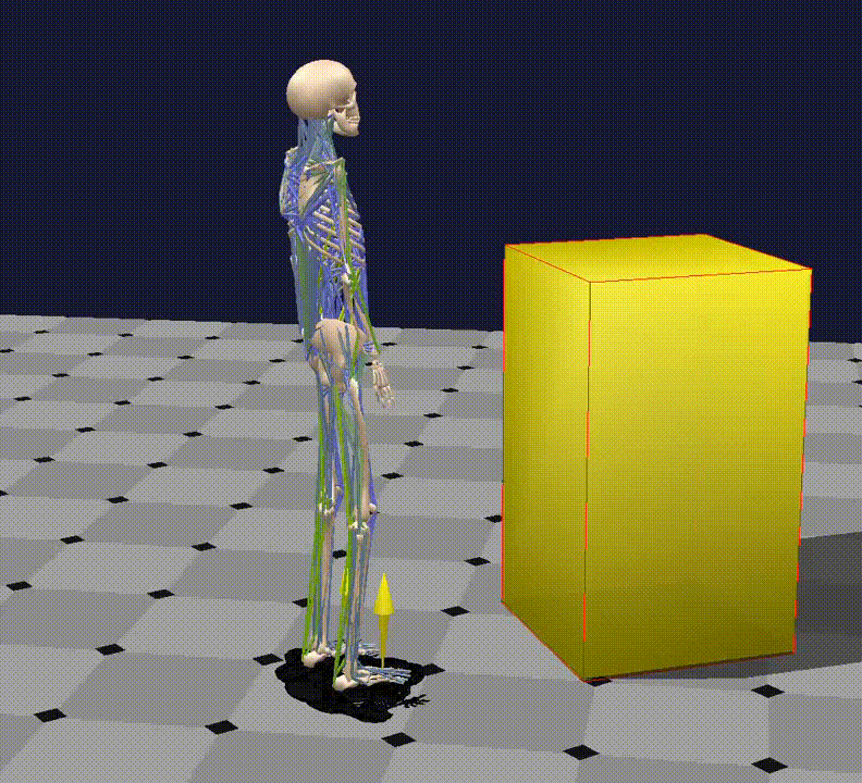 Representación biomecánica del movimiento humano